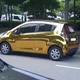 젠슨황금마티즈